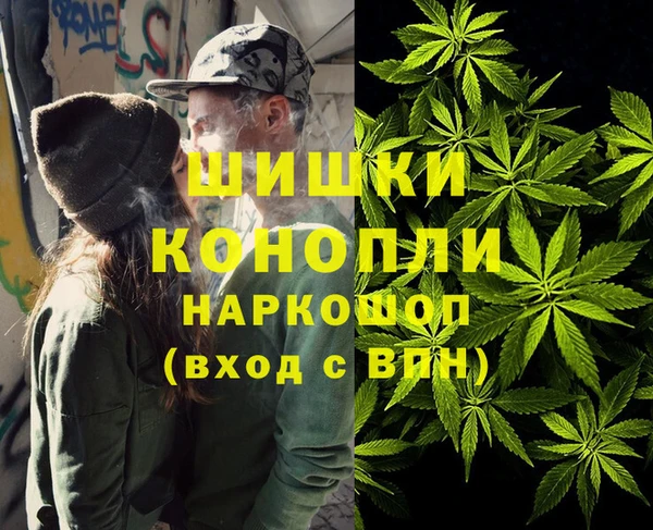 PSILOCYBIN Абаза