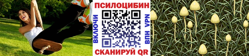 Галлюциногенные грибы Psilocybe  mega как зайти  Аксай  цены наркотик 